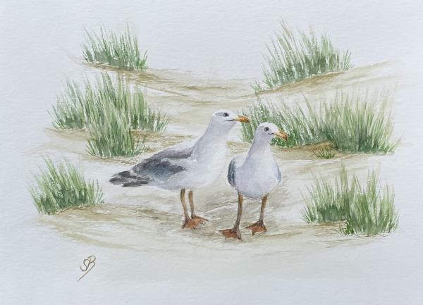 25 art postcards DK12 seagulls on the beach - reverse side Cuxhaven - watercolor